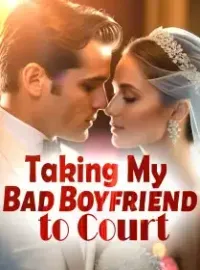 Taking My Bad Boyfriend to Court Novel Cover