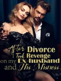 After Divorce, I Took Revenge on my Ex-husband and His Mistress Novel Cover