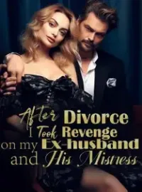 After Divorce, I Took Revenge on my Ex-husband and His Mistress Novel Cover