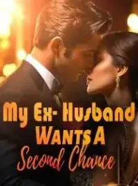 My Ex- Husband Wants A Second Chance Novel Cover