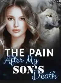 The Pain after My Son's Death Novel Cover