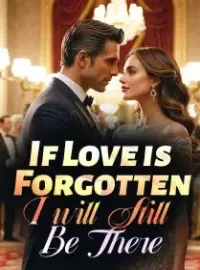 If Love is Forgotten, I will Still Be There Novel Cover