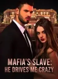 Mafia's Slave: He Drives Me Crazy Novel Cover
