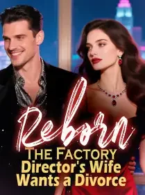 Reborn The Factory Director's Wife Wants a Divorce Novel Cover