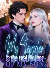 My Stepsister is the real Mother of my Son Novel Cover