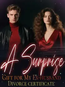 A Surprise Gift for My Ex-husband-Divorce certificate! Novel Cover