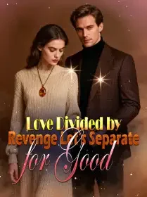 Love Divided by Revenge, Let's Separate for Good Novel Cover