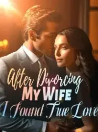 After Divorcing My Wife, I Found True Love Novel Cover