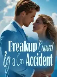 Breakup Caused By a Car Accident Novel Cover