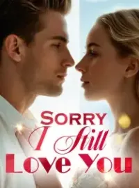 Sorry, I Still Love You Novel Cover