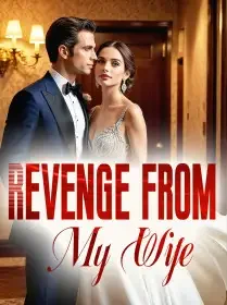 Revenge from My Wife Novel Cover