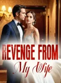 Revenge from My Wife Novel Cover
