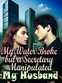 My Water Broke, but a Secretary Manipulated My Husband Novel Cover