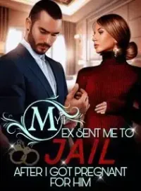 My Ex Sent Me to Jail after I got Pregnant for Him Novel Cover