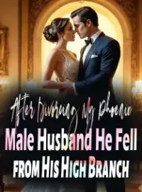 After Divorcing My Phoenix Male Husband, He Fell from His High Branch Novel Cover