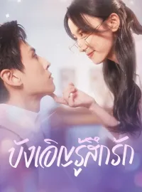 บังเอิญรู้สึกรักมินิซีรีส์