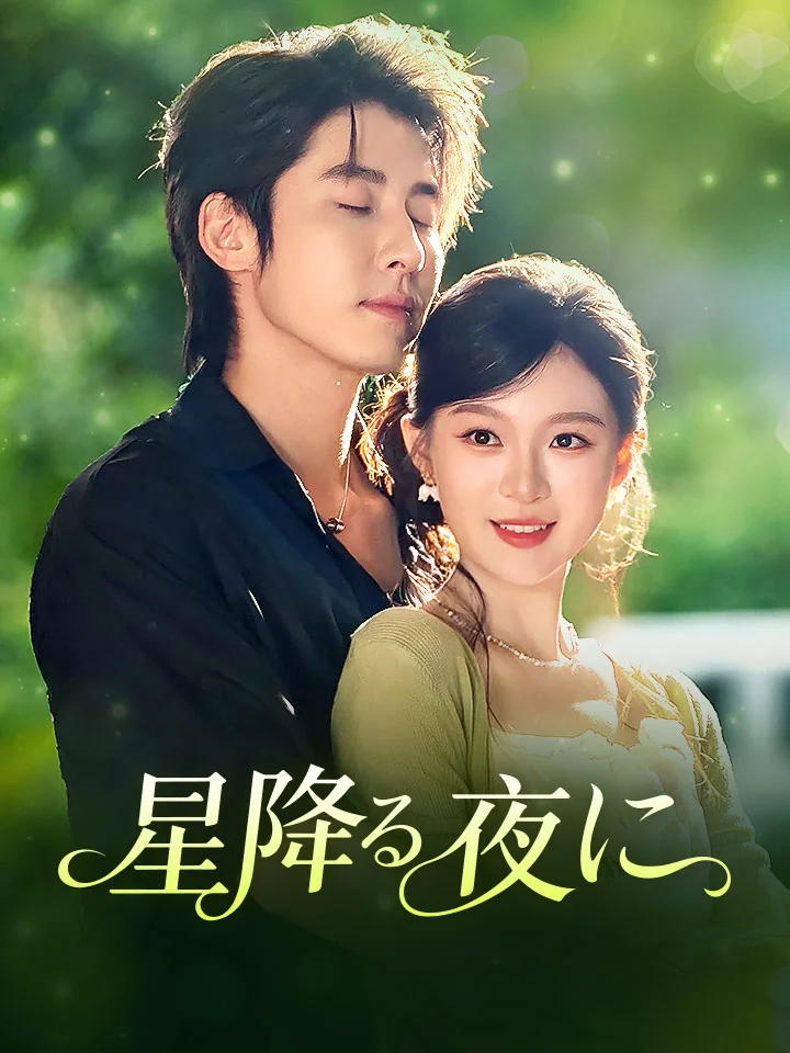 星降る夜にミニシリーズ