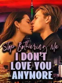 Stop Bothering Me, I Don't Love You Anymore Novel Cover