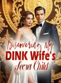Discovering My DINK Wife's Secret Child Novel Cover