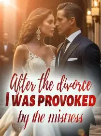After the divorce, I was provoked by the mistress Novel Cover