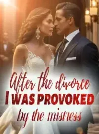 After the divorce, I was provoked by the mistress Novel Cover