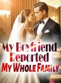 My Boyfriend Reported My Whole Family Novel Cover