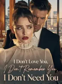 I Don’t Love You, I Don’t Remember You, I Don’t Need You Novel Cover