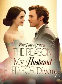 First Love's Return: The Reason My Husband Filed for Divorce Novel Cover