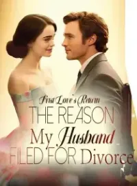 First Love's Return: The Reason My Husband Filed for Divorce Novel Cover