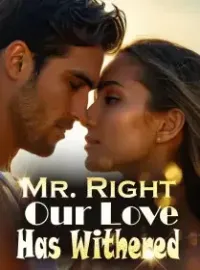 Mr. Right, Our Love Has Withered Novel Cover
