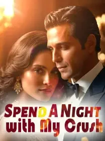 Spend A Night with My Crush Novel Cover