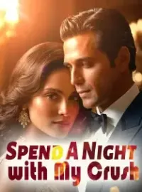 Spend A Night with My Crush Novel Cover