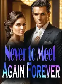 Never to Meet Again Forever Novel Cover
