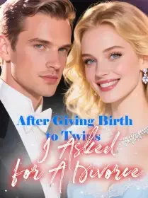 After Giving Birth to Twins, I Asked for A Divorce Novel Cover