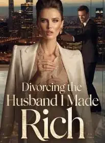Divorcing the Husband I Made Rich Novel Cover