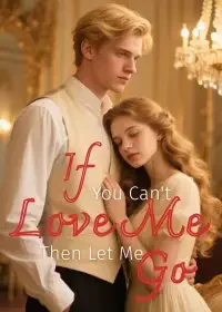 If You Can't Love Me, Then Let Me Go Novel Cover