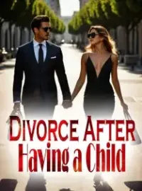 Divorce After Having a Child Novel Cover