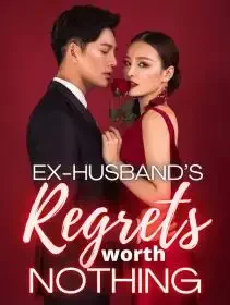 Ex-husband's Regrets Worth Nothing Novel Cover