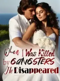 When I Was Killed by Gangsters, He Disappeared Novel Cover