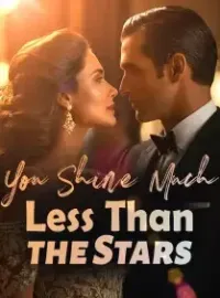 You Shine Much Less Than the Stars Novel Cover