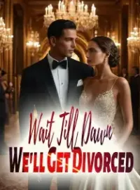 Wait Till Dawn, We'll Get Divorced Novel Cover