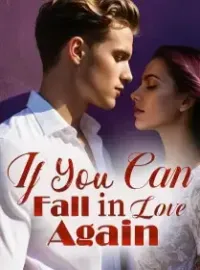 If You Can Fall in Love Again Novel Cover