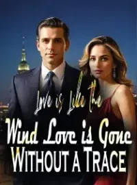 Love is Like the Wind, Love is Gone Without a Trace Novel Cover