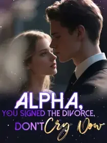 Alpha, You Signed the Divorce, Don’t Cry Now Novel Cover