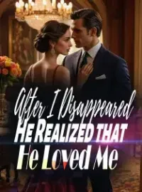 After I Disappeared, He Realized that He Loved Me Novel Cover