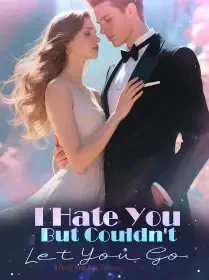 I Hate You But Couldn't Let You Go Novel Cover