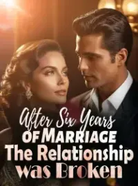 After Six Years of Marriage, The Relationship was Broken Novel Cover