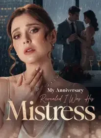My Anniversary Revealed I Was His Mistress Novel Cover