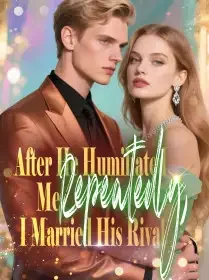 After He Humiliated Me Repeatedly, I Married His Rival Novel Cover