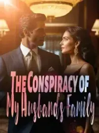 The Conspiracy of My Husband's Family Novel Cover